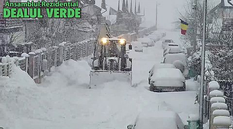 06 ian 2017 - deszapezire in Dealul Verde